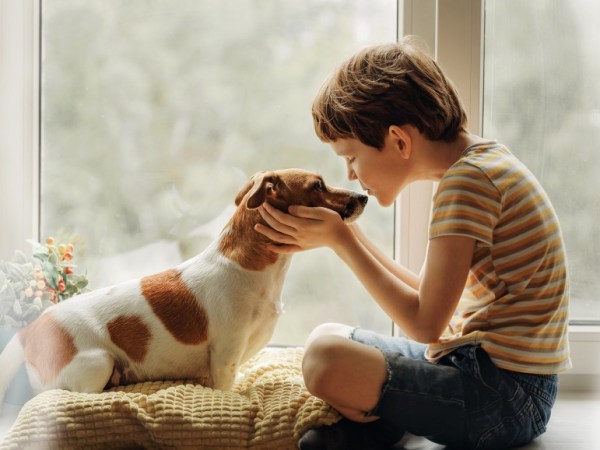Koronawirus nie dotyczy&nbsp;zwierząt!